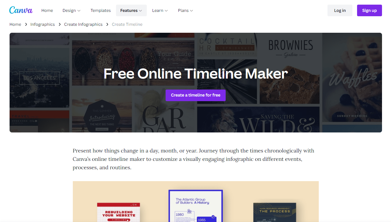 Canva Online Timeline Maker