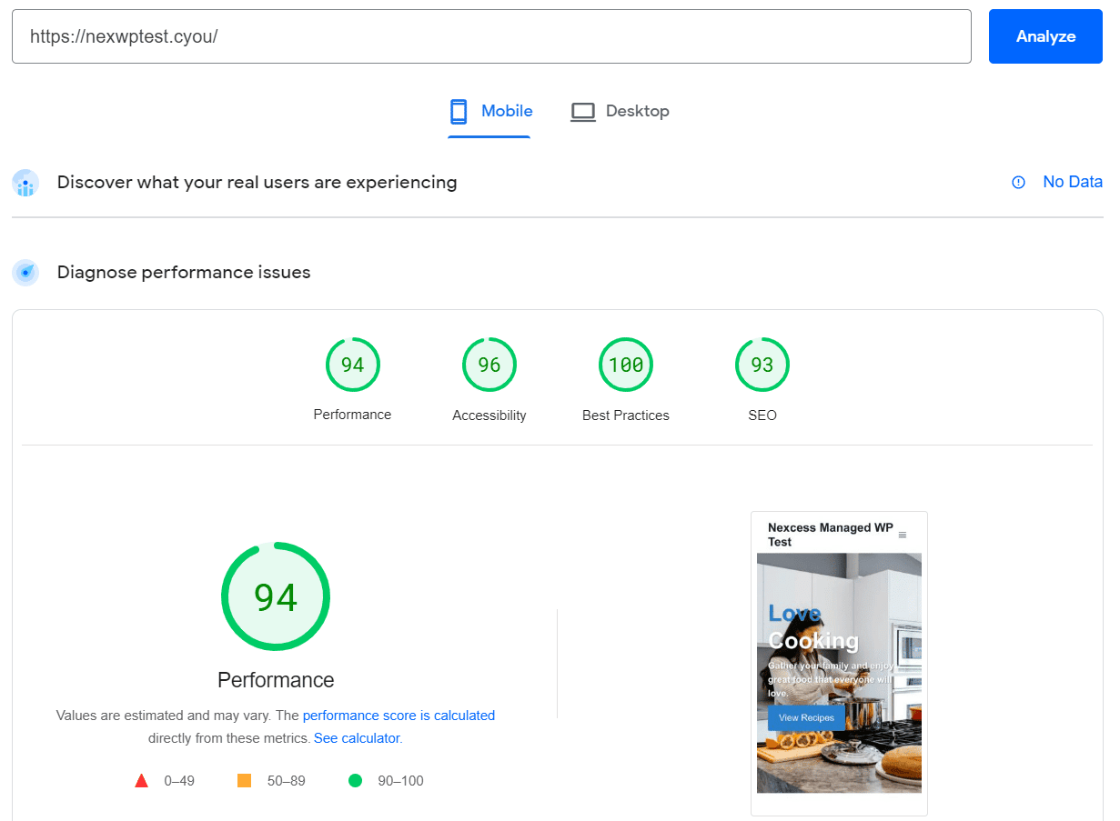 PageSpeed Insights Nexcess Mobile Results With WP Rocket