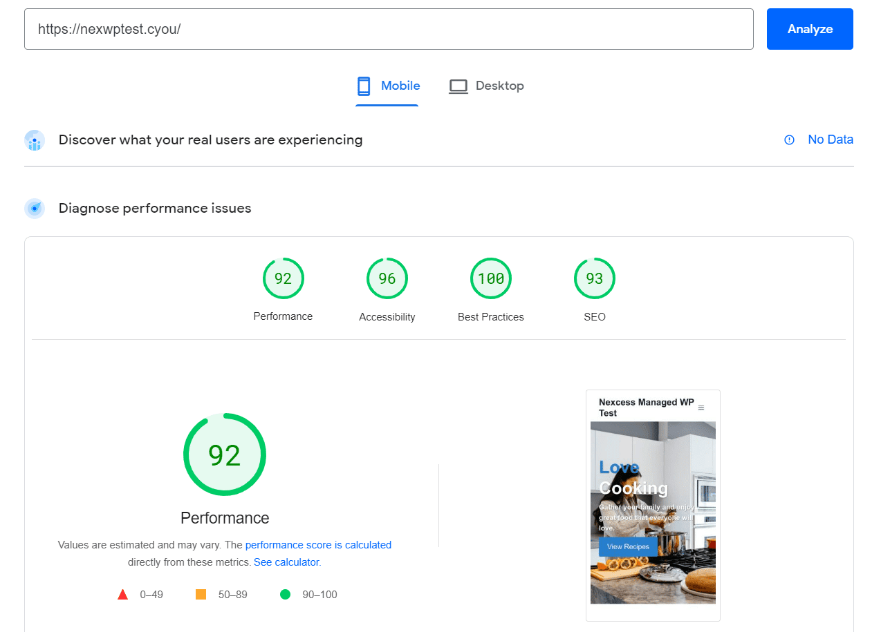 PageSpeed Insights